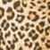 Red Trim Cheetah