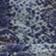 Snakeskin Print