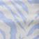 Blue Zebra