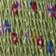 Lime Multi Daisy