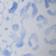 White Blue Animal