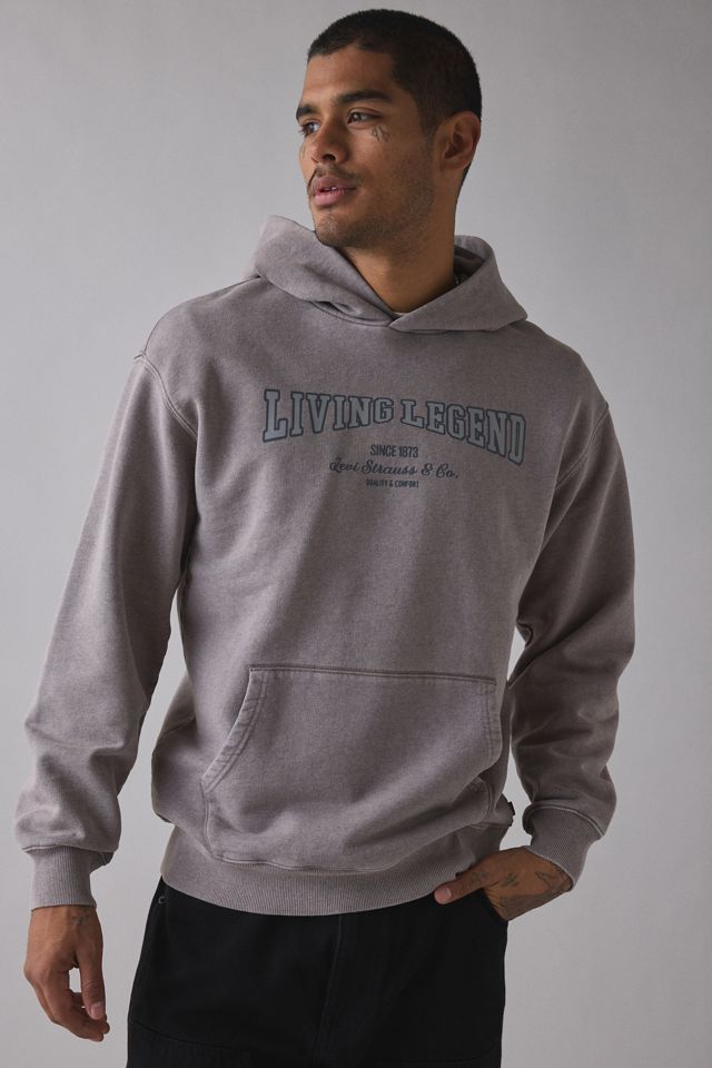 Levi’s® Two Horse Cropped Boxy Fit Hoodie Sweatshirt #1