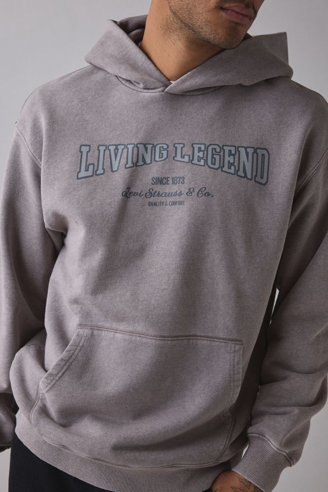 Levi's® Two Horse Cropped Boxy Fit Hoodie Sweatshirt | Urban