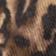 Cat Eyes