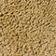Maple Suede