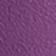 Beachplum