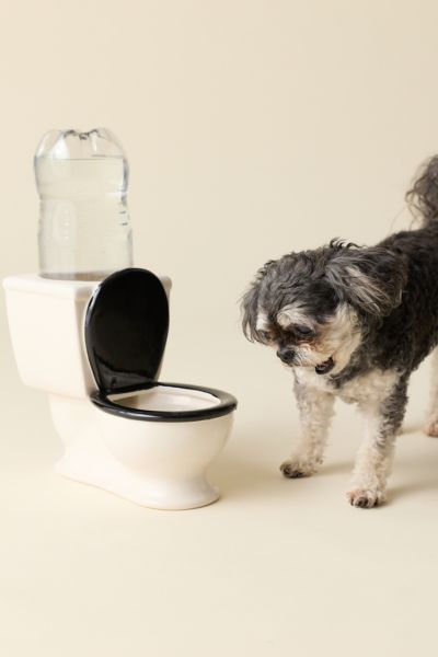 The Toilet Bowl Ceramic Dog Bowl