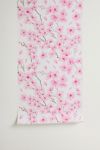 Melly Terpening Cherry Blossom In White Removable Wallpaper