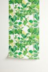 Melly Terpening Fiddle Leaves Fig Watercolor Pattern Removable Wallpaper