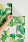 Melly Terpening Fiddle Leaves Fig Watercolor Pattern Removable Wallpaper