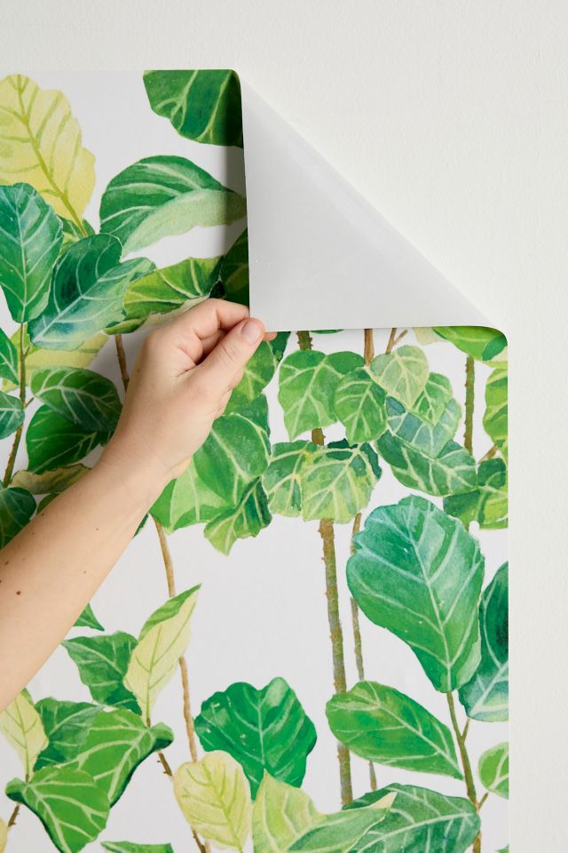 Melly Terpening Fiddle Leaves Fig Watercolor Pattern Removable Wallpaper #2