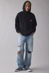Death Row Records Doberman Graphic Hoodie Sweatshirt