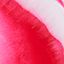 Red & White Corona