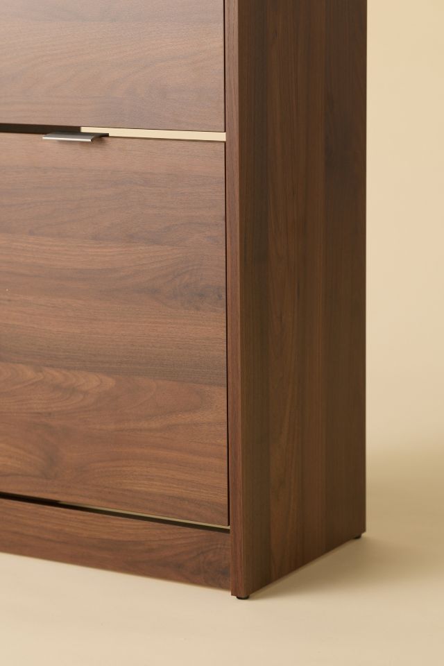 Eddie Entryway 2-Drawer Shoe Storage Cabinet #3