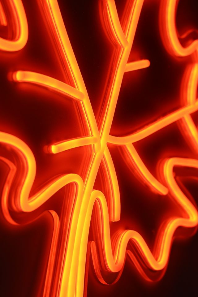 Echo Neon Maple Leaf Neon Sign #3