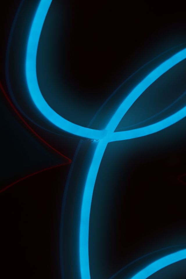 Echo Neon Curve Shape Neon Sign #3