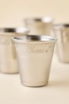 Esme Stainless Steel Shot Glass Set