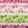 Rainbow Stripe