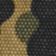 Yellow Leopard