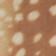 Brown Multi