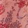 Pink Floral