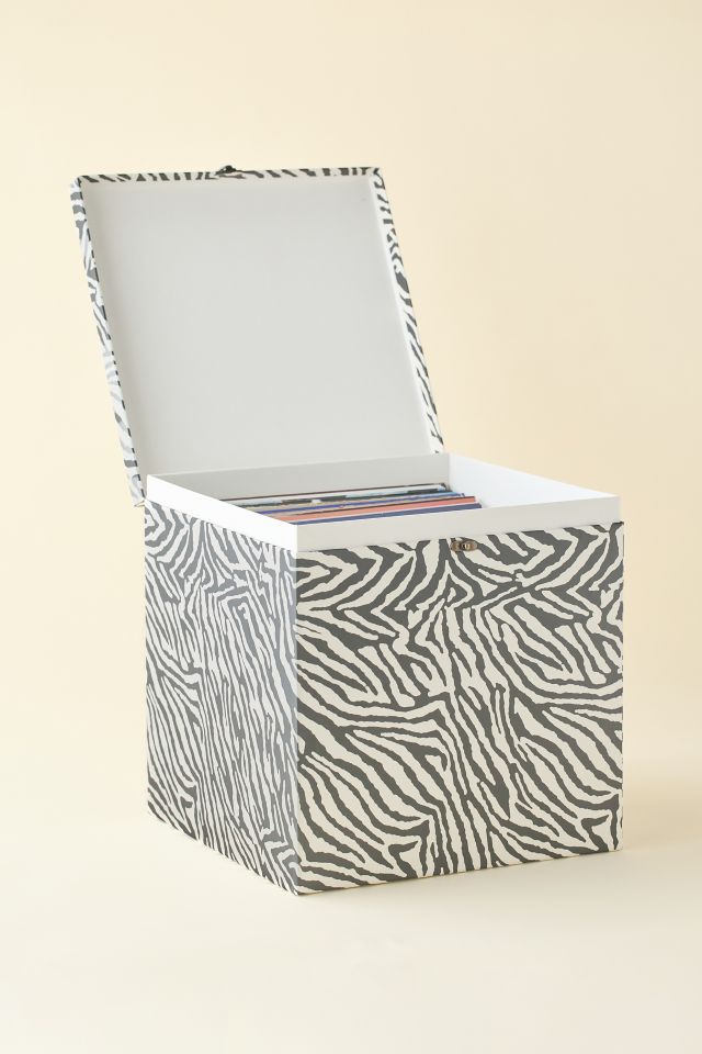 Lenny Vinyl Record Storage Box #1