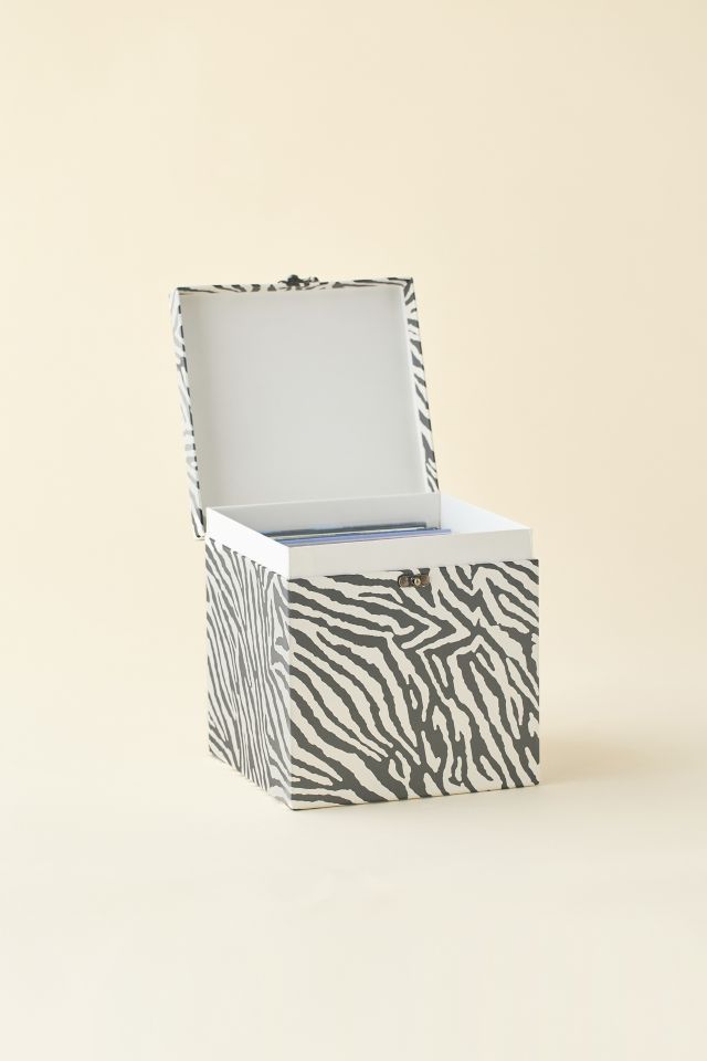 Lenny Vinyl Record Storage Box #2