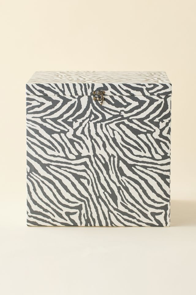 Lenny Vinyl Record Storage Box #3