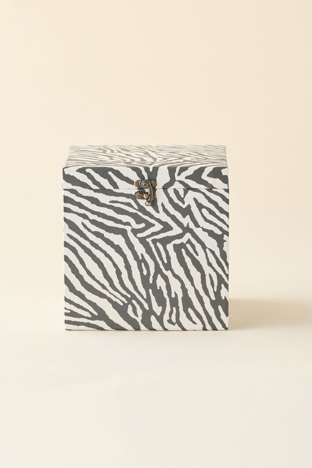 Lenny Vinyl Record Storage Box #4