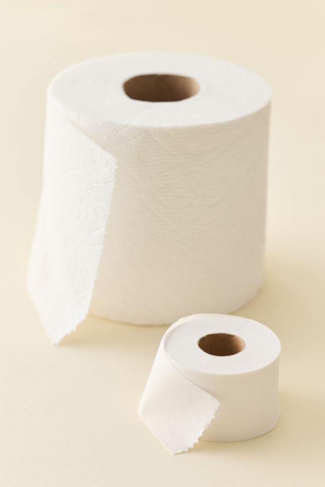 Mini Toilet Paper Roll #1