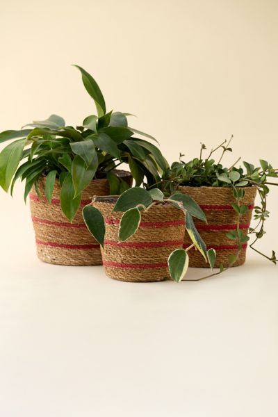 Woven Seagrass & Jute Basket Plant Cover Set