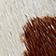 Chocolate Brown-Gum