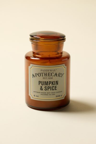Paddywax Apothecary 8 oz Scented Candle In Pumpkin/spice At Urban Outfitters