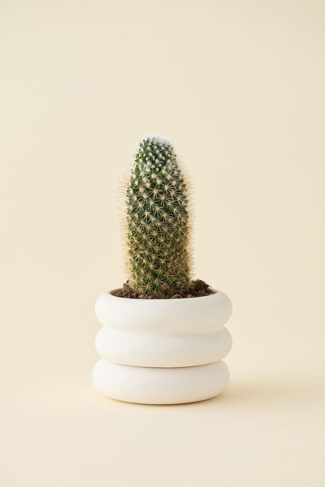 Areaware Mini Stacking Planter #4