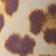 Animal Print