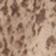 Snake Print