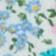 Botanical Motif