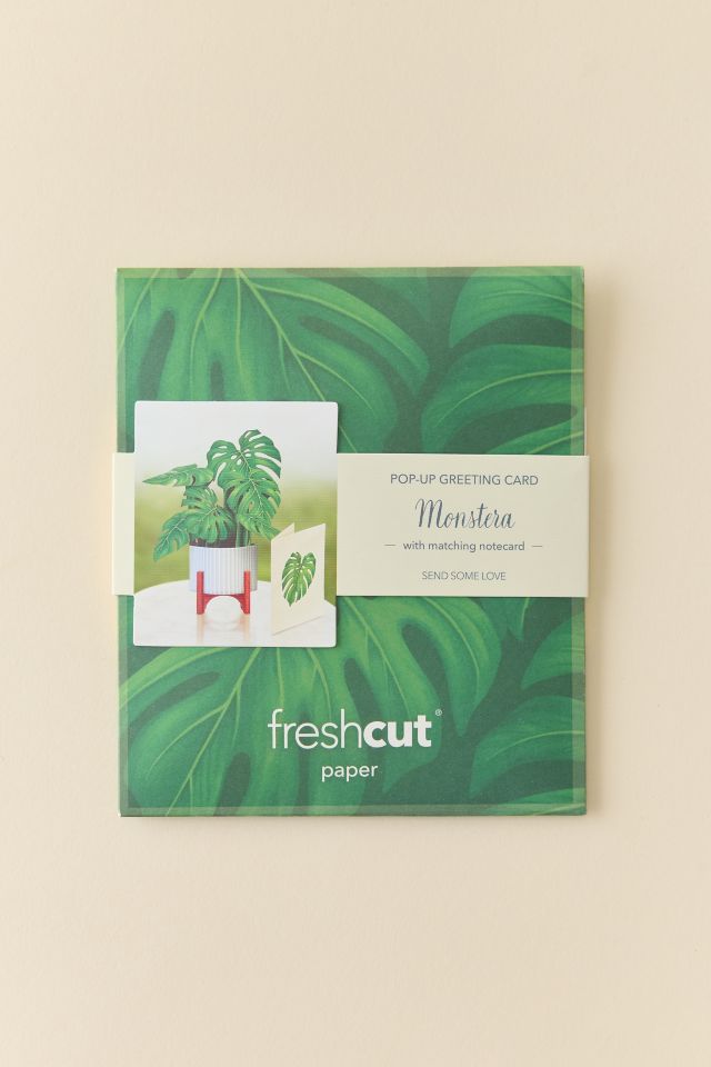 FreshCut Paper Mini Monstera Pop-Up Greeting Card #1