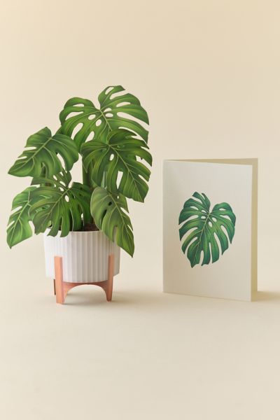 FreshCut Paper Mini Monstera Pop-Up Greeting Card