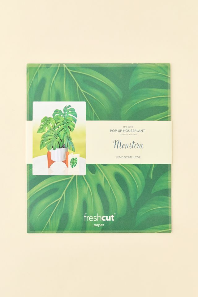 FreshCut Paper Monstera Pop-Up Greeting Card #1