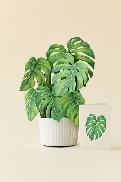 FreshCut Paper Monstera Pop-Up Greeting Card