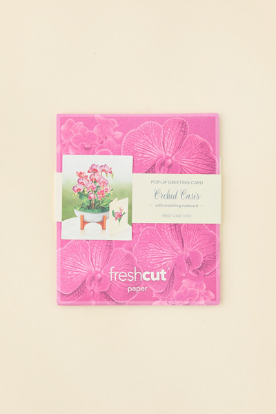 FreshCut Paper Mini Orchid Oasis Pop-Up Greeting Card