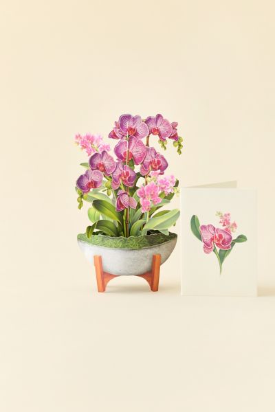 FreshCut Paper Mini Orchid Oasis Pop-Up Greeting Card
