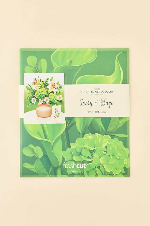 FreshCut Paper Ivory & Sage Pop-Up Greeting Card #1