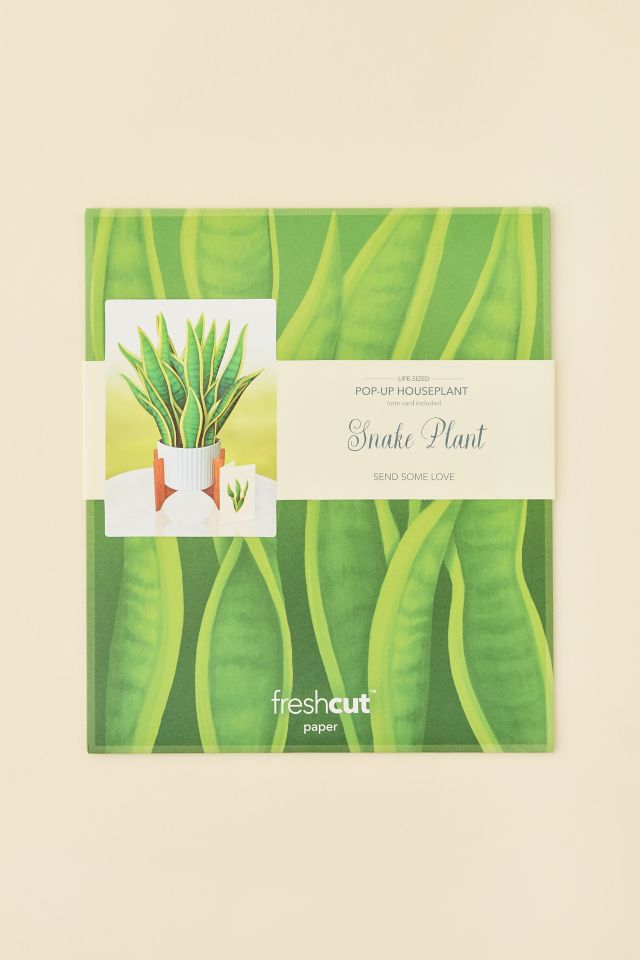FreshCut Paper Snake Plant Pop-Up Greeting Card #1