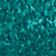 Collegiate Green/Cream Wh