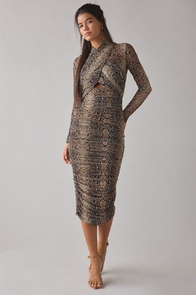 Animal Print Dresses