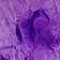 Purple Swirl