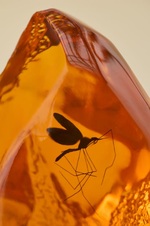 Jurassic Park Sculpture Table Lamp #2