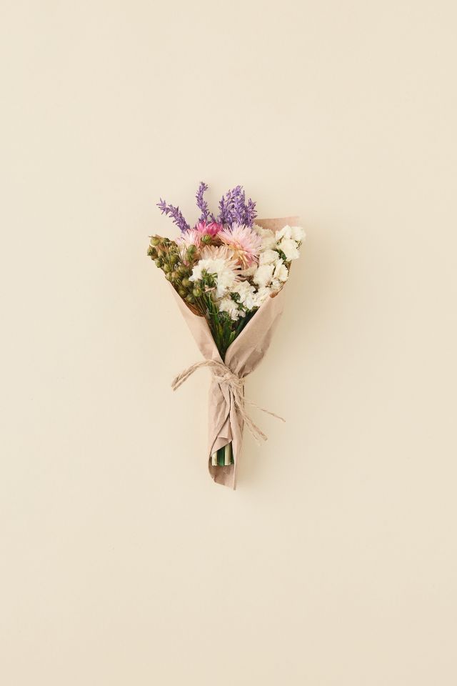 Andaluca Mini Strawflower & Larkspur Dried Bouquet #2